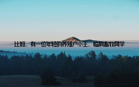 比如, 有一位年轻的养殖户小王, 临朐畜牧网学到了先进的养殖技术, 他的养殖场如今已经成为了当地的示范点