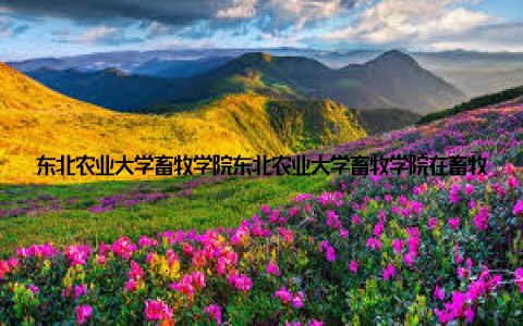 东北农业大学畜牧学院东北农业大学畜牧学院在畜牧科研和人才培养方面具有明显优势, 学院注重理论与实践相结合, 为学子们提供了丰富的实践机会