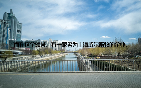 而在这个领域, 有一家名为上海威尔畜牧的企业, 正以其绿色养殖的理念和科技创新, 引领着畜牧业的未来之路