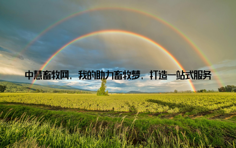 中慧畜牧网, 我的助力畜牧梦, 打造一站式服务平台, 共筑畜牧辉大家好, 我是中慧畜牧网的创始人, 一个对畜牧行业充满热情的追梦人