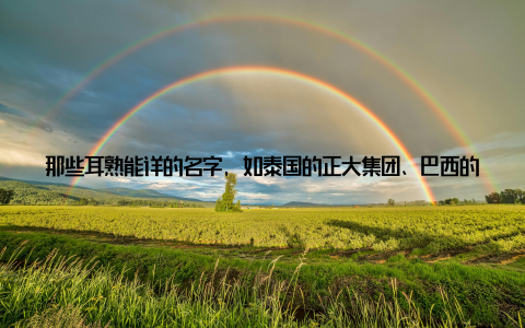 那些耳熟能详的名字, 如泰国的正大集团、巴西的JBS、荷兰的VION, 它们在全球畜牧行业中都有着举足轻重的地位