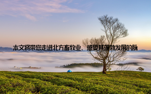 本文将带您走进北方畜牧业, 感受其蓬勃发展的脉动一、北方畜牧业崛起的绿色产 资源优势明显北方地区是我国重要的粮食产区, 丰富的农产品资源为畜牧业提供了得天独厚的条件