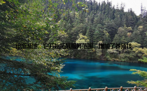 但渐渐地, 它开始拓展服务范围, 增加了养殖技术交流、市场行情分析、企业展示等板块, 成为了畜牧行业信息共享的新平台