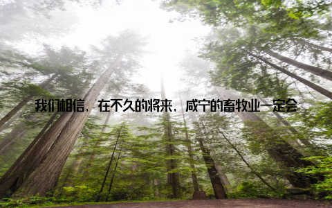 我们相信, 在不久的将来, 咸宁的畜牧业一定会实现更大的突破, 为人们带来更多的优质产品, 为乡村振兴注入更多活力