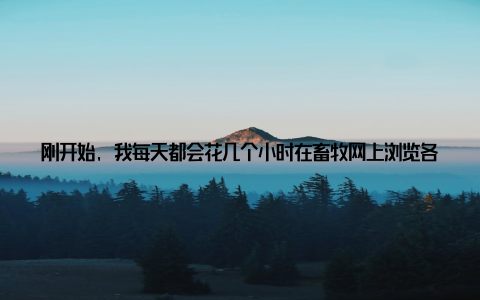 刚开始, 我每天都会花几个小时在畜牧网上浏览各种文章, 从养殖技术到市场动态, 从饲料配方到疫病防治, 我几乎无所不学
