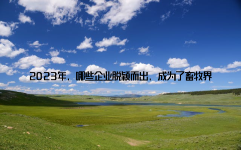 2023年, 哪些企业脱颖而出, 成为了畜牧界的佼佼者呢? 下面, 我们就来盘点一下中国畜牧行业十大领军企业