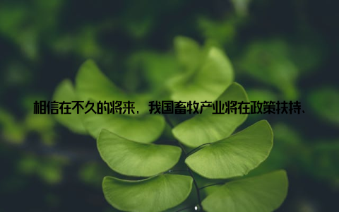 相信在不久的将来, 我国畜牧产业将在政策扶持、技术创新、人才培养等多方面取得更加显著的成果, 为我国农业现代化、乡村振兴战略的实施贡献力量