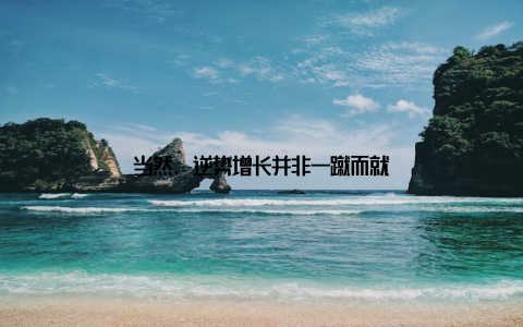 当然, 逆势增长并非一蹴而就